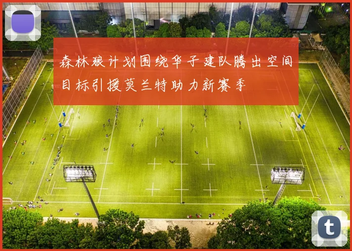 森林狼计划围绕华子建队腾出空间目标引援莫兰特助力新赛季