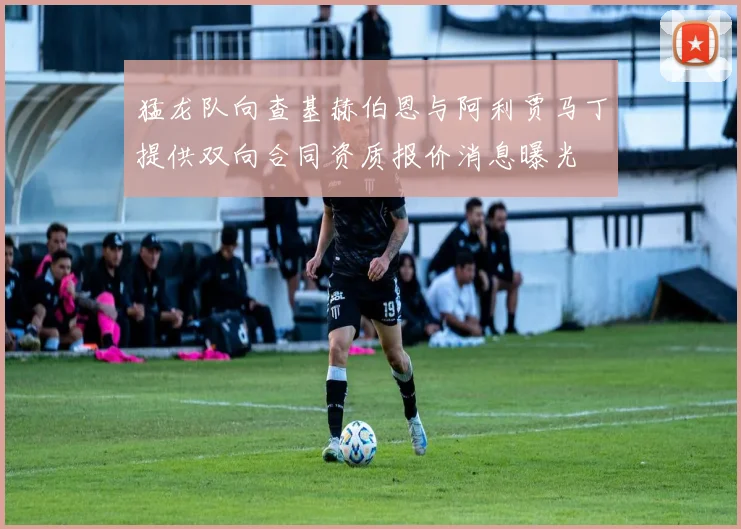 猛龙队向查基赫伯恩与阿利贾马丁提供双向合同资质报价消息曝光