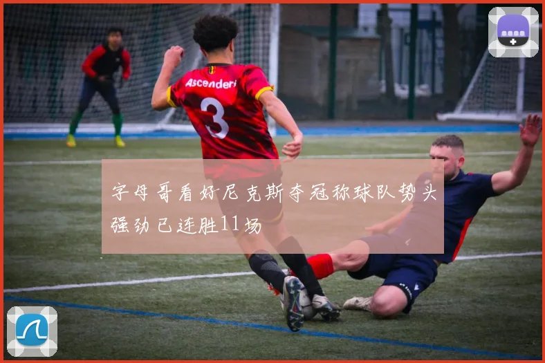字母哥看好尼克斯夺冠称球队势头强劲已连胜11场