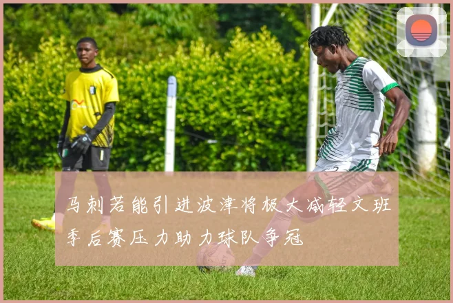 马刺若能引进波津将极大减轻文班季后赛压力助力球队争冠