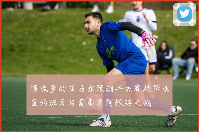 懂流量的亚马尔预测半决赛对阵法国西班牙与葡萄牙阿根廷之战