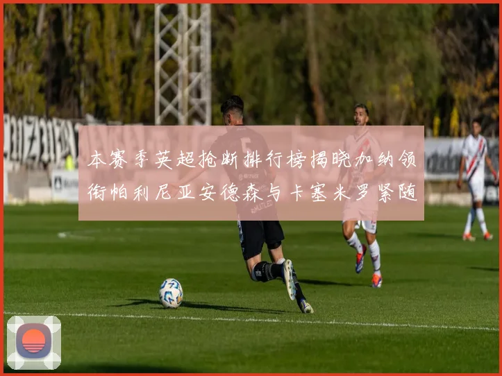 本赛季英超抢断排行榜揭晓加纳领衔帕利尼亚安德森与卡塞米罗紧随其后